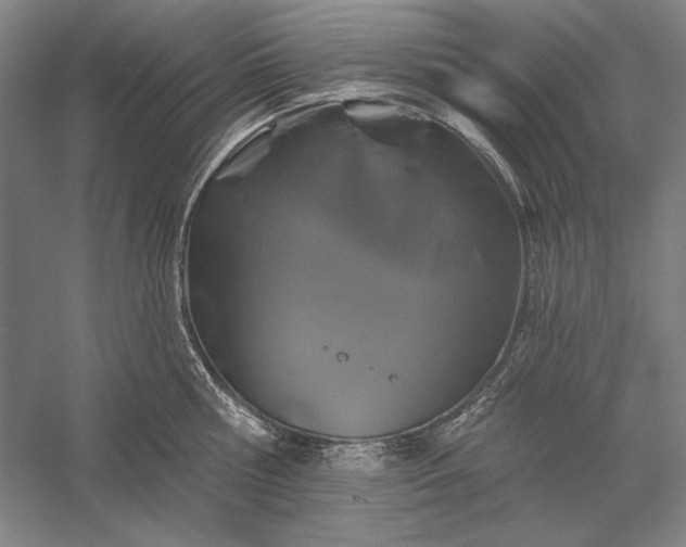 X0000056370810200509091647