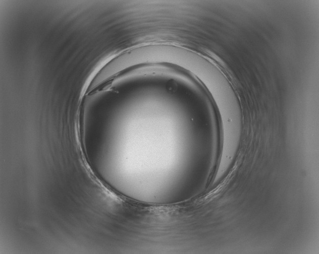 X0000056370812200509091647