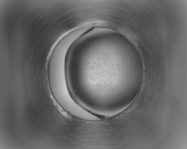 X0000056370816200509091647