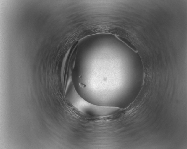 X0000056370818200509091646