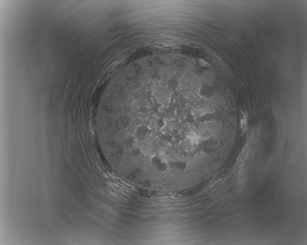 X0000056370819200509091646