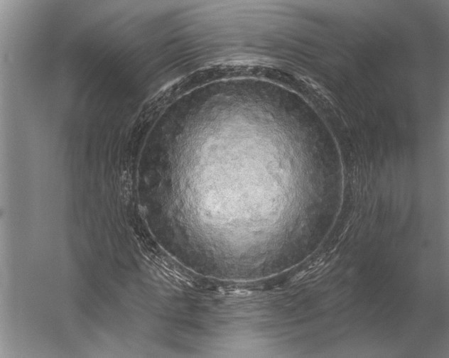 X0000056370821200509091646