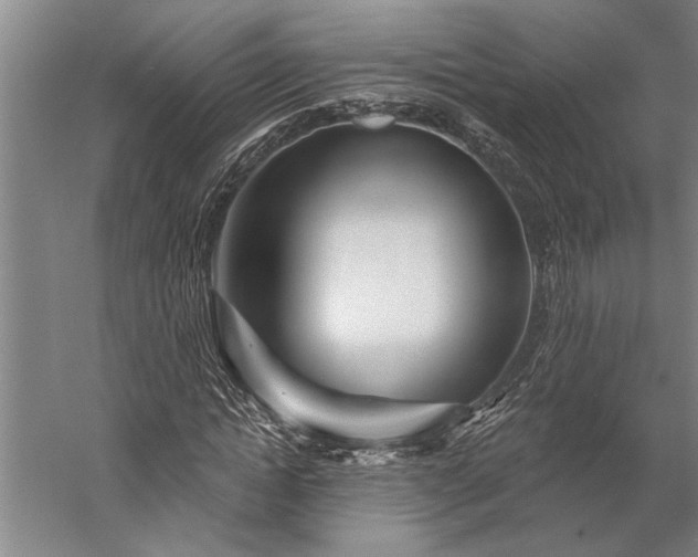 X0000056370822200509091646