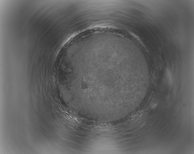 X0000056370823200509091646