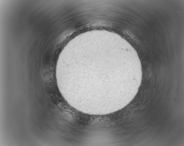 X0000056370824200509091646