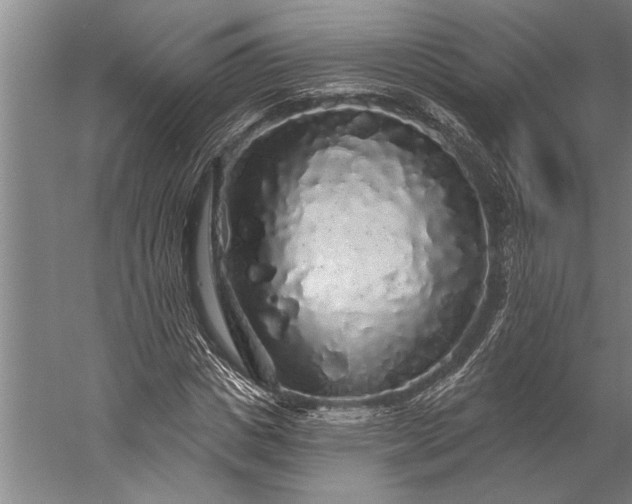 X0000056370825200509091646