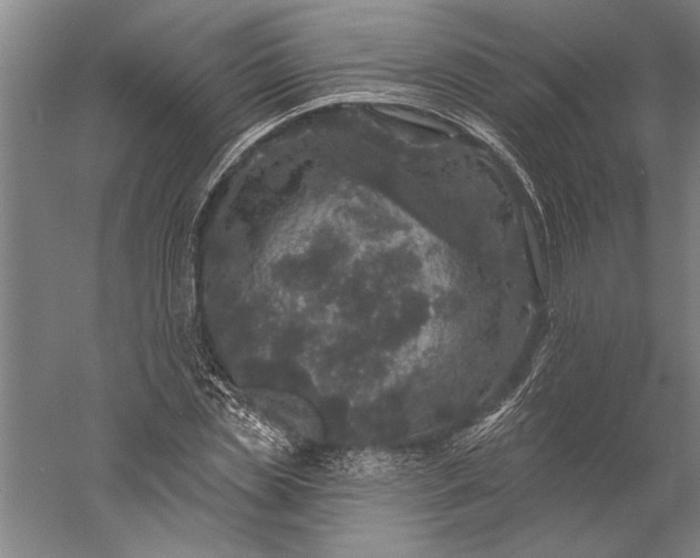 X0000056370829200509091646