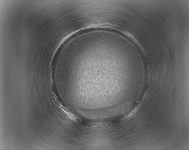 X0000056370830200509091646