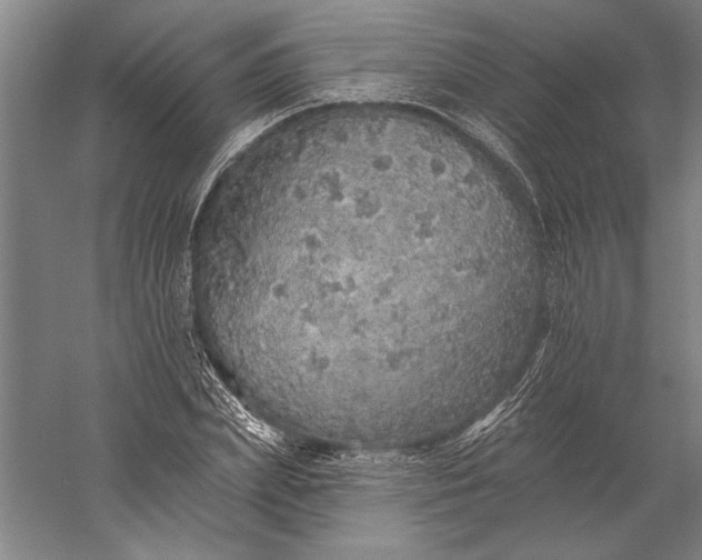 X0000056370831200509091646