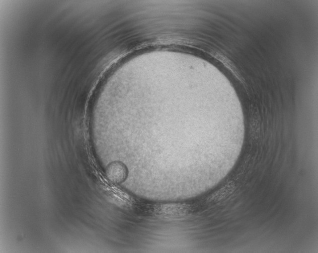 X0000056370832200509091646