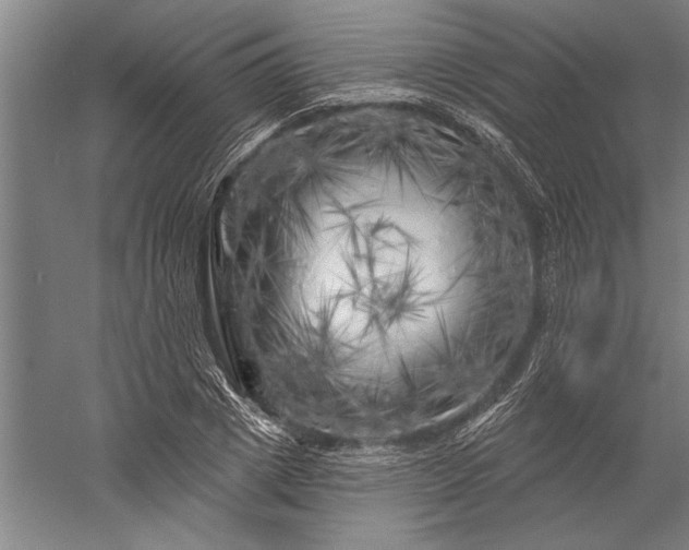 X0000056370833200509091646