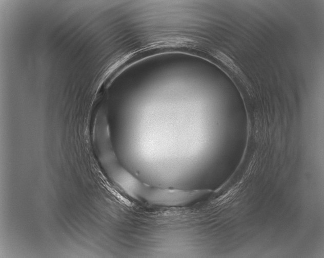 X0000056370834200509091646