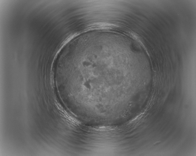 X0000056370835200509091647