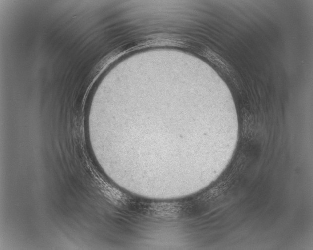 X0000056370836200509091647