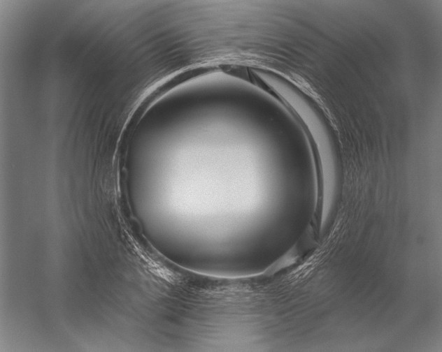 X0000056370838200509091647