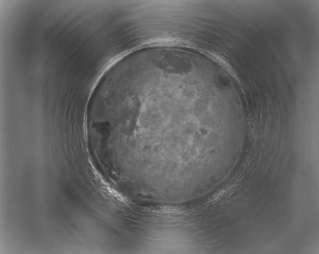 X0000056370839200509091647