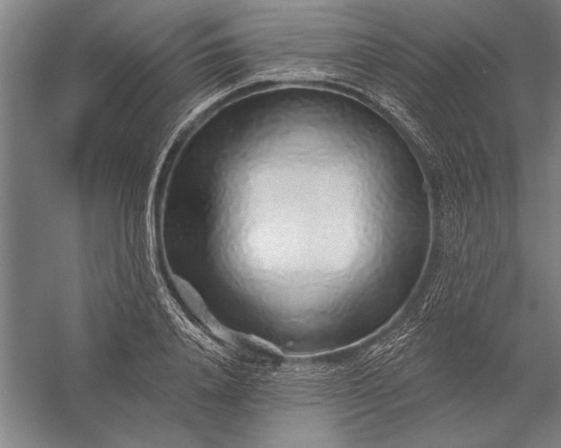 X0000056370840200509091647