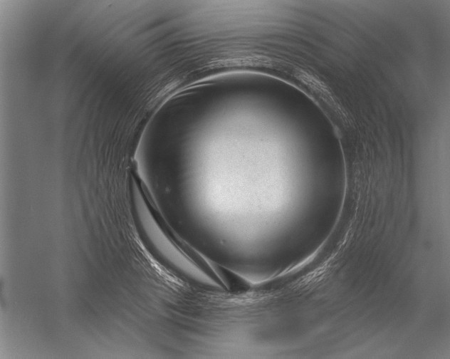 X0000056370841200509091647