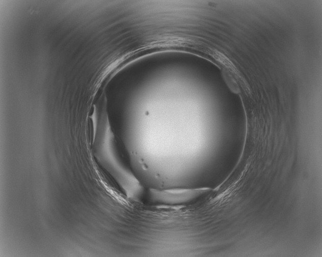 X0000056370842200509091647