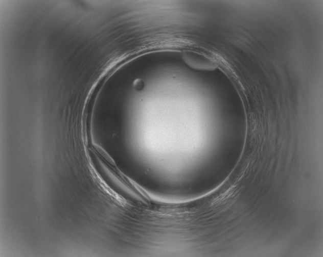 X0000056370843200509091647