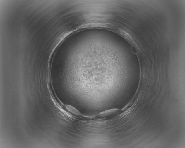 X0000056370844200509091647