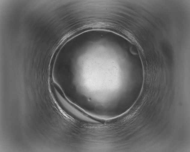 X0000056370845200509091647