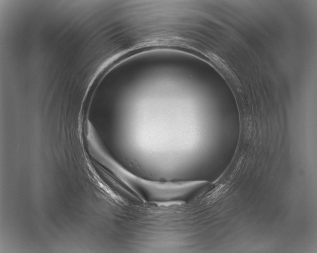 X0000056370846200509091647