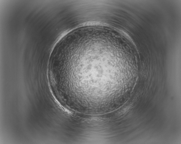 X0000056370847200509091647