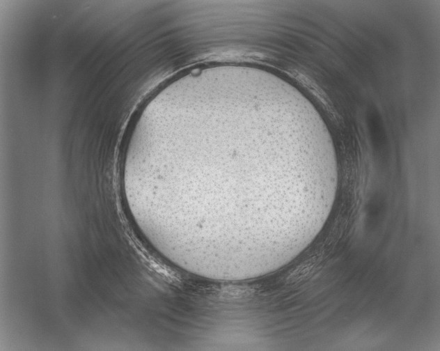 X0000056370848200509091647