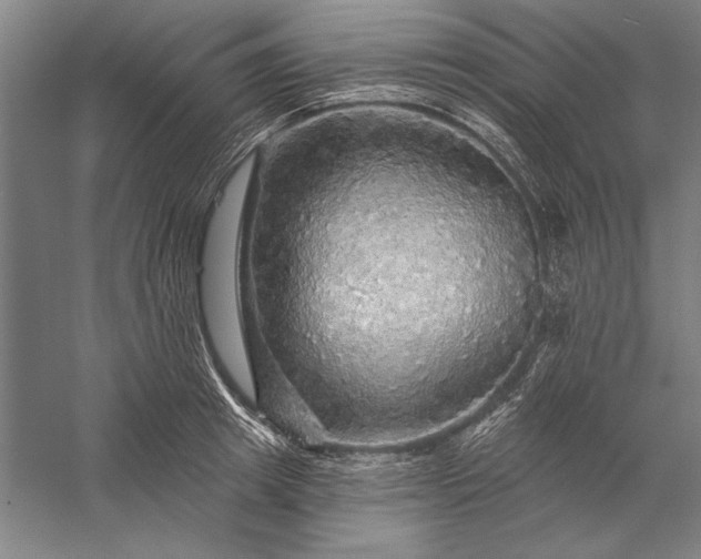 X0000056370849200509091647