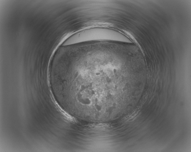 X0000056370851200509091647