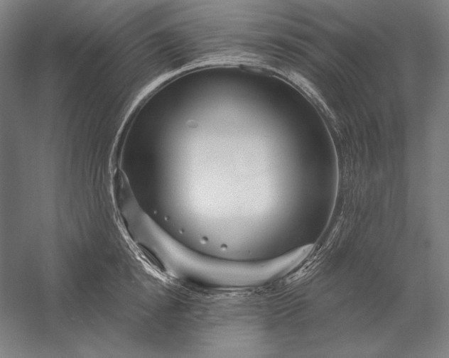 X0000056370854200509091647