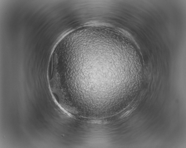 X0000056370855200509091647