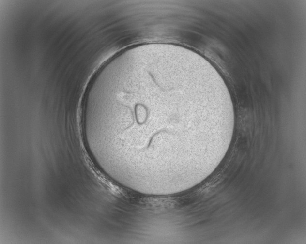 X0000056370856200509091647