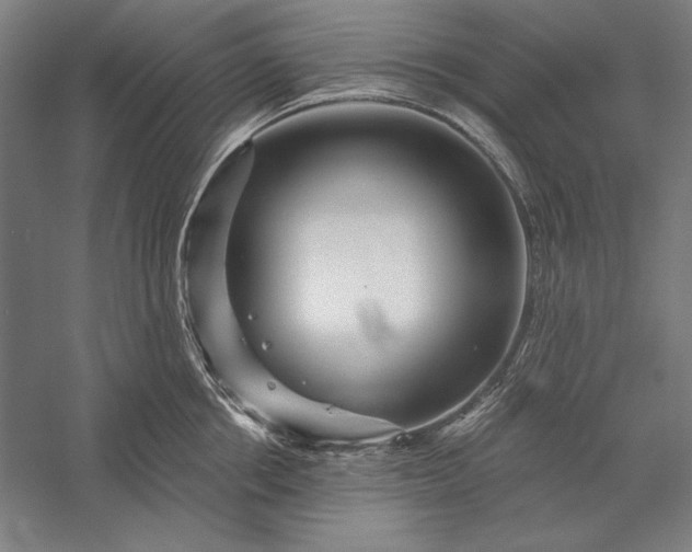 X0000056370858200509091647