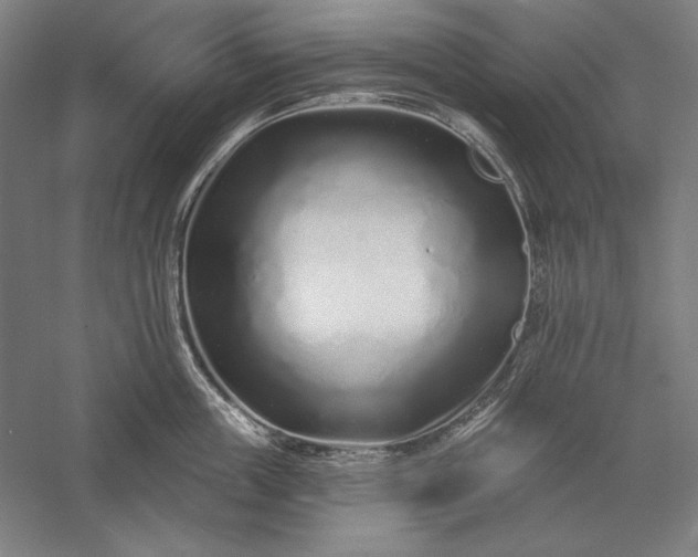 X0000056370859200509091647