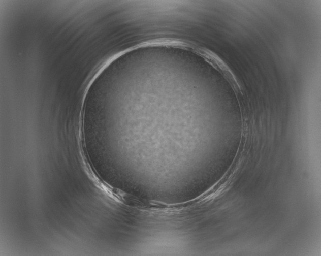 X0000056370860200509091647