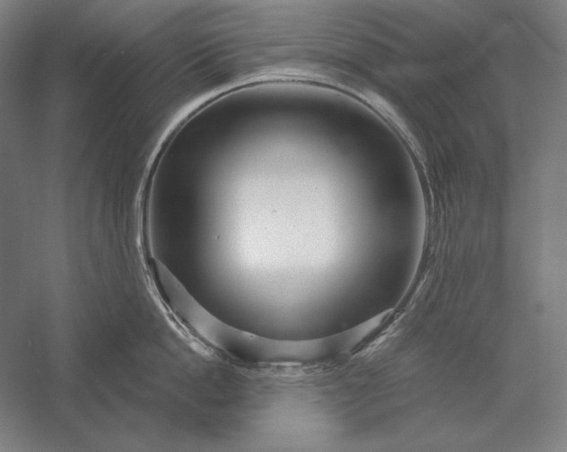 X0000056370862200509091647