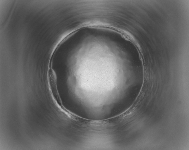 X0000056370863200509091647