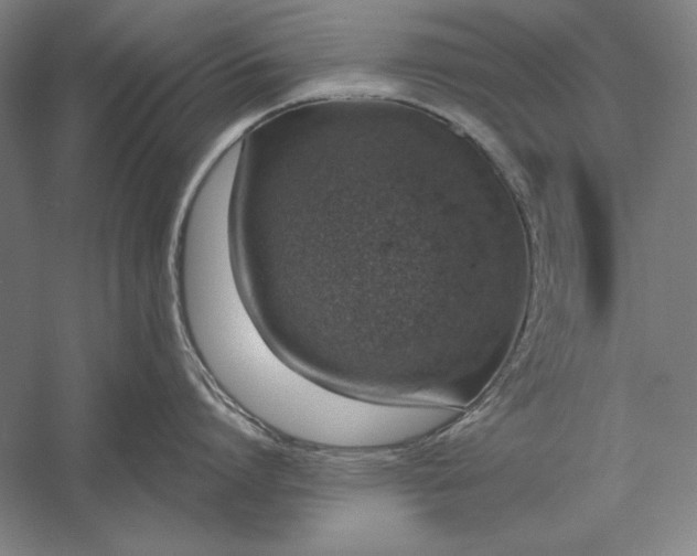 X0000056370864200509091647