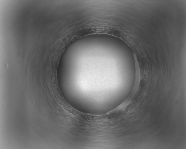 X0000056370865200509091646