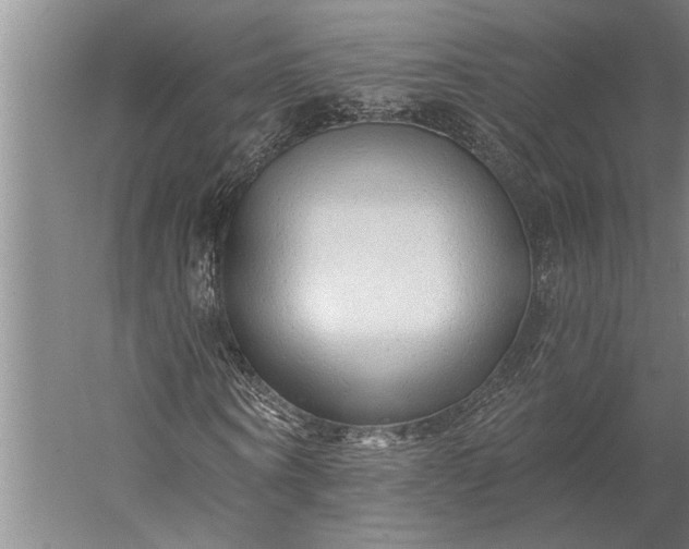 X0000056370866200509091646