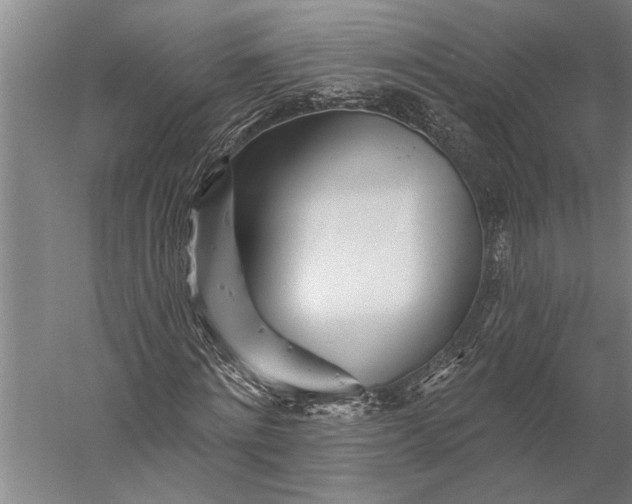 X0000056370868200509091646