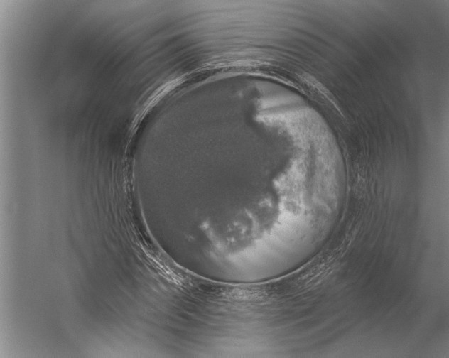 X0000056370874200509091646