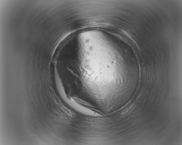 X0000056370875200509091646