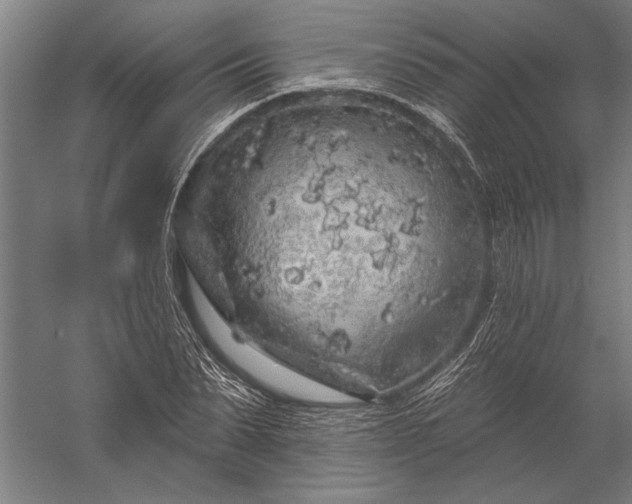 X0000056370879200509091646