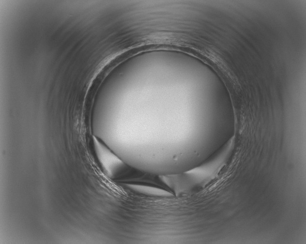 X0000056370880200509091646