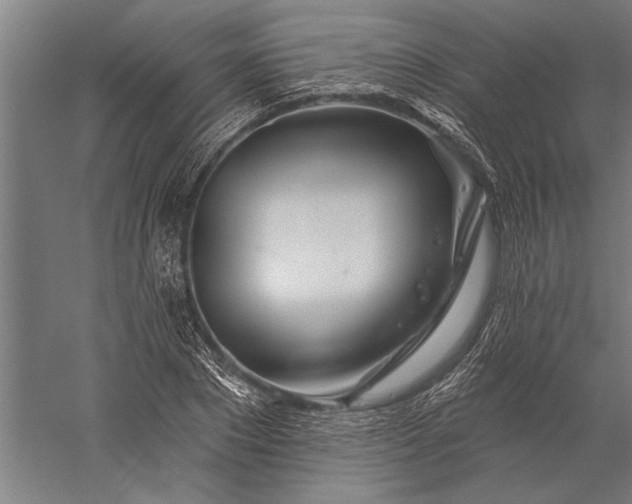 X0000056370881200509091646