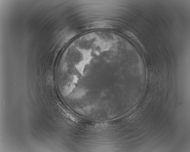 X0000056370882200509091646