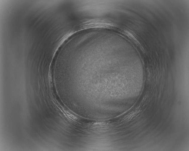 X0000056370883200509091646